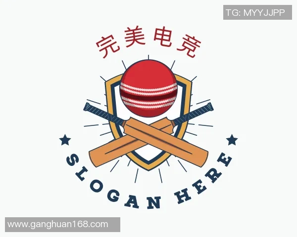 揭秘王磊成功之路探讨英雄联盟背后的秘密与策略